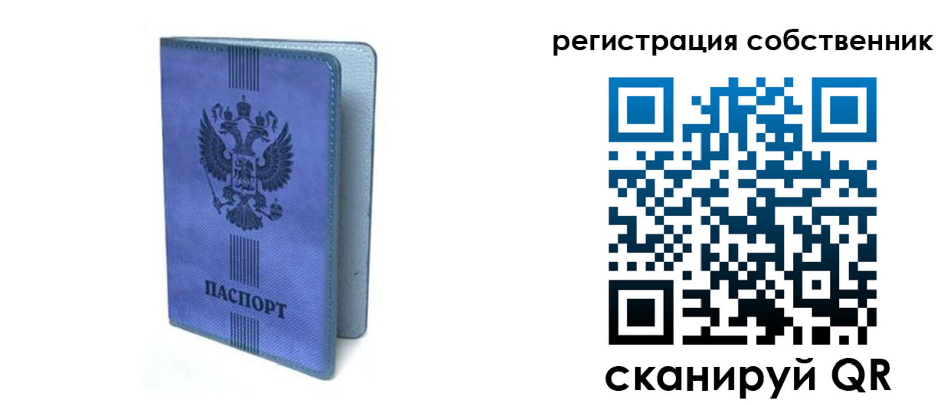 прописка 2025 в Димитровграде